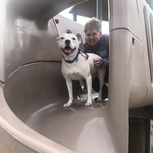 Fundraising Page: Laurie Dyke